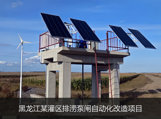 黑龍江某澇區泵、閘站聯排聯控項目案例
